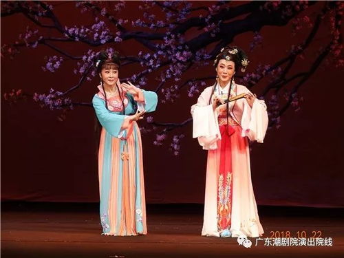 潮劇新星林燕云 角逐梅花獎的傳承與創新之路